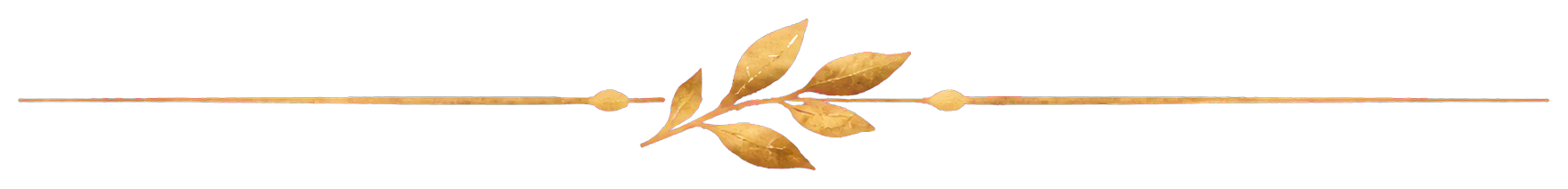 Monograma NT